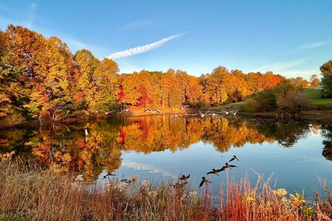 Tiny photo for 1002 Boone Hill Drive, Lynchburg, VA 24503 (MLS # 362081)