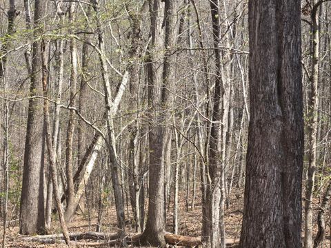 Vacant Land For Sale - Equestrian Trail Road<br/> Buckingham County, New Canton, VA 23123