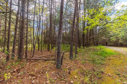 Tiny photo for 199 Peninsula Point, Lynch Station, VA 24571 (MLS # 362734)