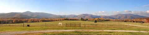 Tiny photo for 2416 Lowesville Road, Amherst, VA 24521 (MLS # 366122)
