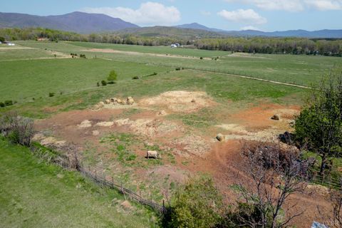 Tiny photo for 2416 Lowesville Road, Amherst, VA 24521 (MLS # 366122)