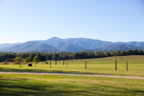 Tiny photo for 2416 Lowesville Road, Amherst, VA 24521 (MLS # 366122)