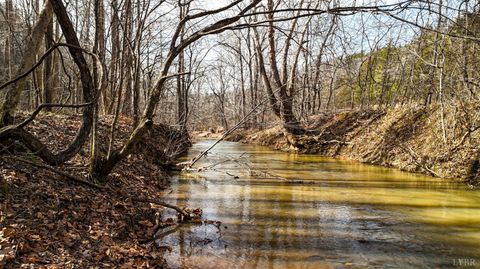 Tiny photo for 643 River Bottom Lane, Concord, VA 24538 (MLS # 364648)