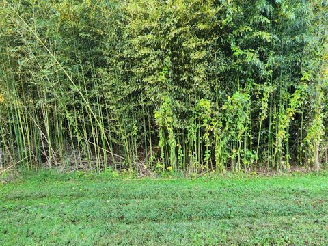 Tiny photo for 643 River Bottom Lane, Concord, VA 24538 (MLS # 364648)