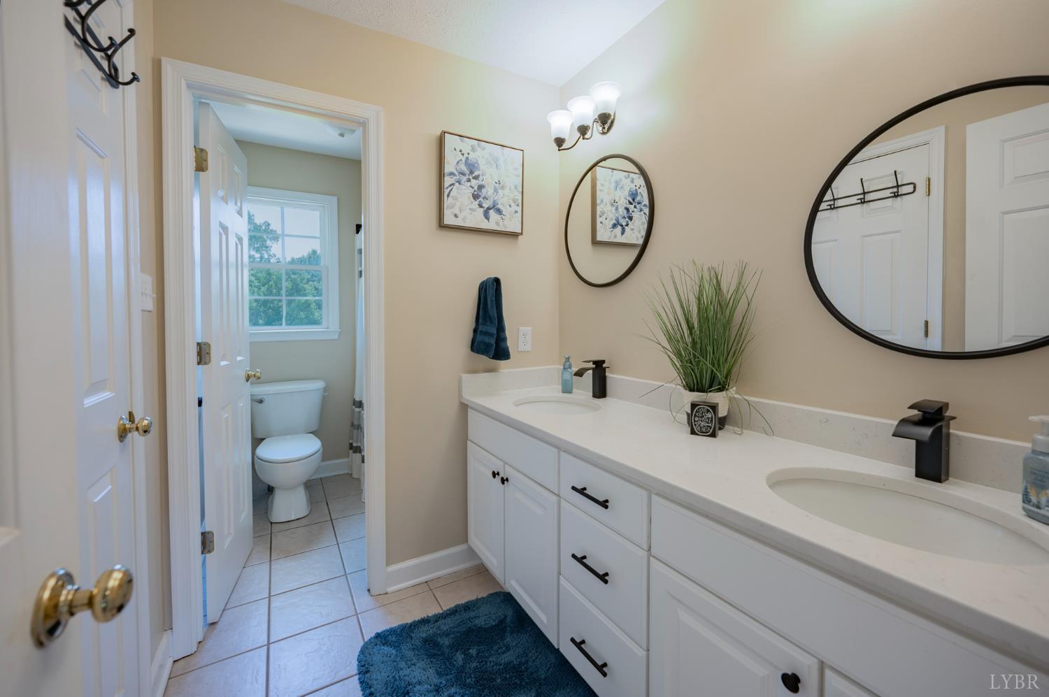 816 Ivy Lake Drive, Forest, Virginia image 39