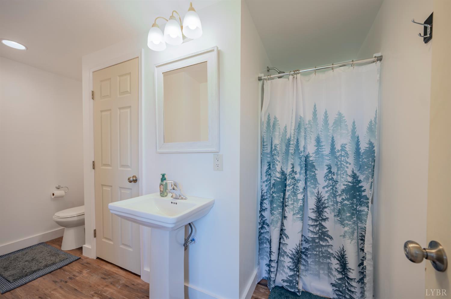 816 Ivy Lake Drive, Forest, Virginia image 29