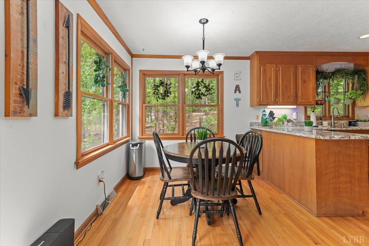 306 Fox Runn Drive, Lynchburg, Virginia image 19