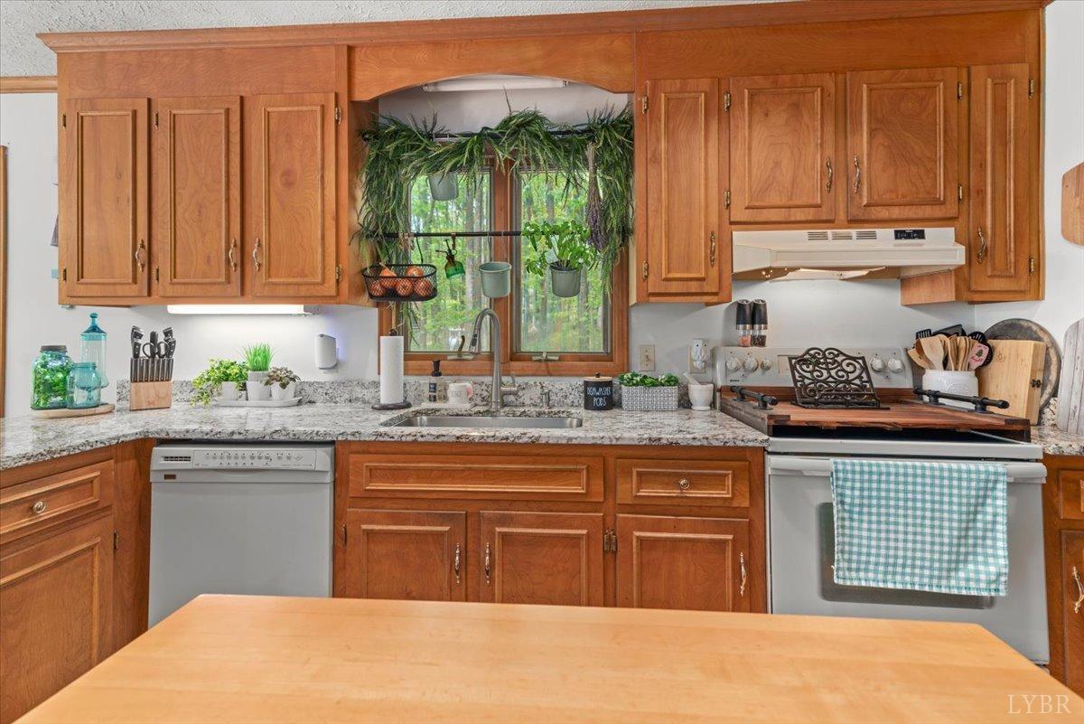 306 Fox Runn Drive, Lynchburg, Virginia image 14