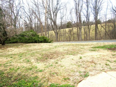 Tiny photo for 207 Martins Lane, Madison Heights, VA 24572 (MLS # 364817)