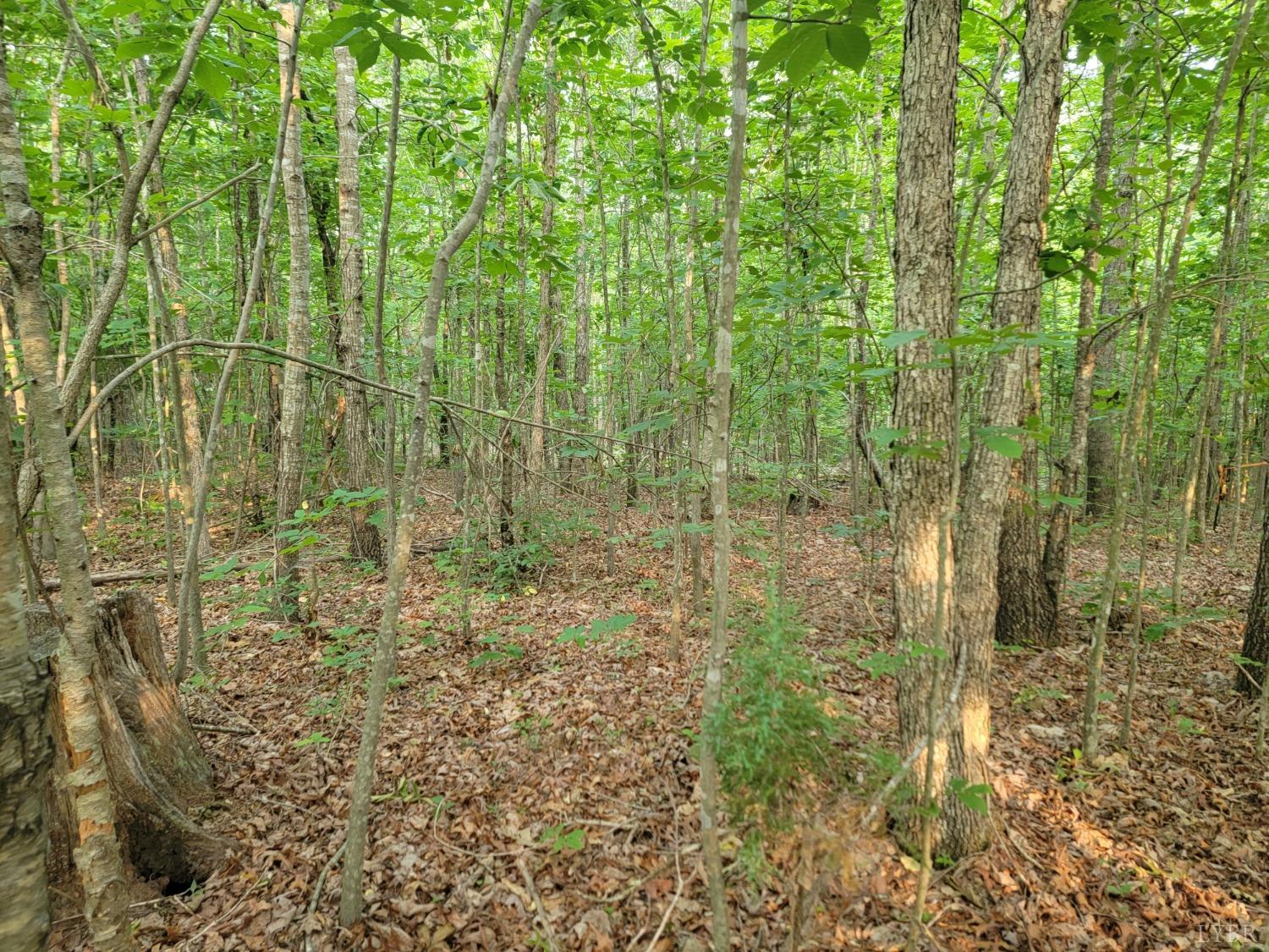 2 Lewis Ford Road, Brookneal, Virginia image 4