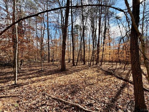 Tiny photo for 0 Salem Road, Schuyler, VA 22969 (MLS # 364167)