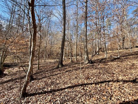 Tiny photo for 0 Salem Road, Schuyler, VA 22969 (MLS # 364167)