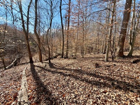 Tiny photo for 0 Salem Road, Schuyler, VA 22969 (MLS # 364167)