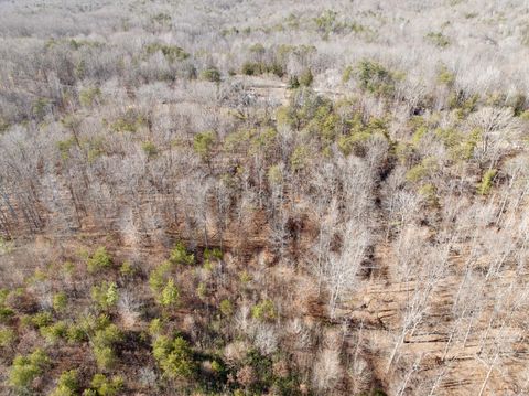 Tiny photo for 0 Salem Road, Schuyler, VA 22969 (MLS # 364167)