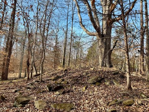 Tiny photo for 0 Salem Road, Schuyler, VA 22969 (MLS # 364167)