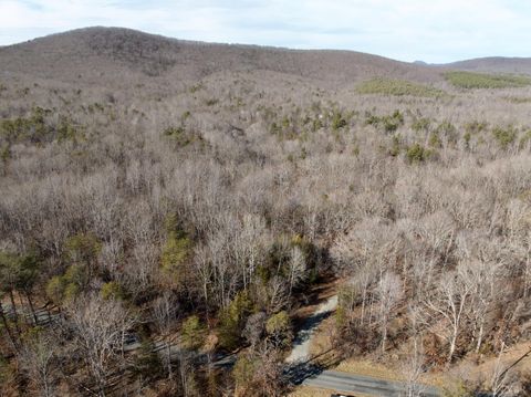 Tiny photo for 0 Salem Road, Schuyler, VA 22969 (MLS # 364167)