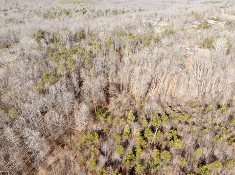 Tiny photo for 0 Salem Road, Schuyler, VA 22969 (MLS # 364167)