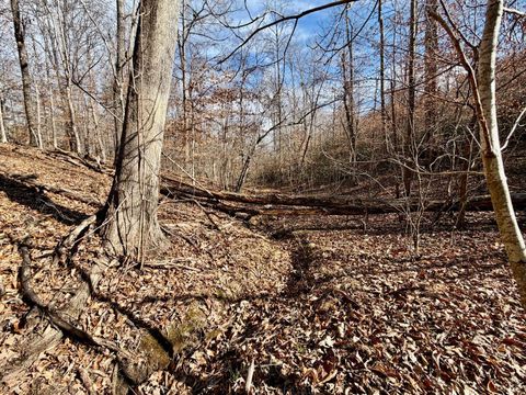 Tiny photo for 0 Salem Road, Schuyler, VA 22969 (MLS # 364167)