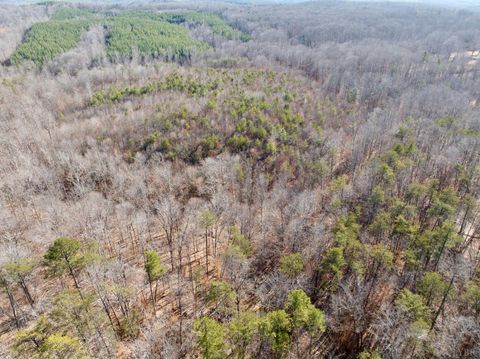 Tiny photo for 0 Salem Road, Schuyler, VA 22969 (MLS # 364167)