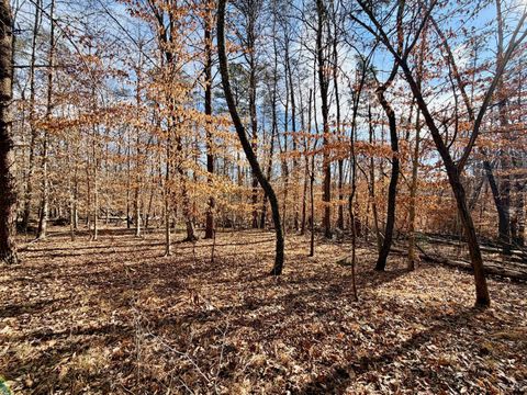 Tiny photo for 0 Salem Road, Schuyler, VA 22969 (MLS # 364167)