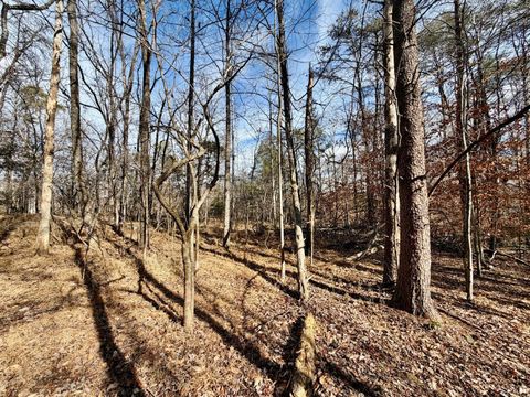 Tiny photo for 0 Salem Road, Schuyler, VA 22969 (MLS # 364167)