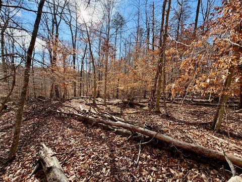 Tiny photo for 0 Salem Road, Schuyler, VA 22969 (MLS # 364167)