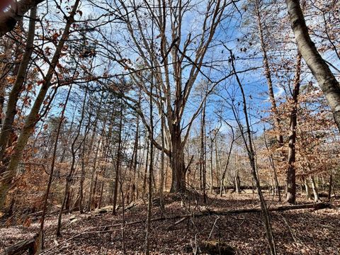 Tiny photo for 0 Salem Road, Schuyler, VA 22969 (MLS # 364167)