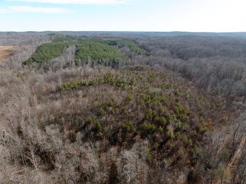 Tiny photo for 0 Salem Road, Schuyler, VA 22969 (MLS # 364167)