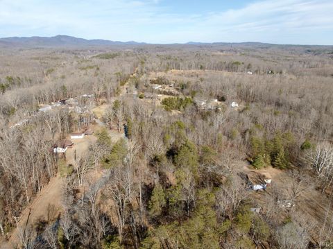 Tiny photo for 0 Salem Road, Schuyler, VA 22969 (MLS # 364167)