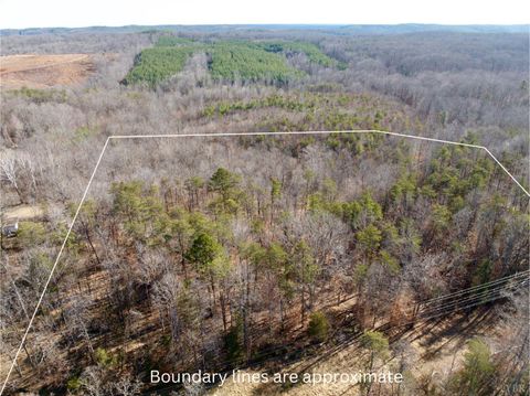 Tiny photo for 0 Salem Road, Schuyler, VA 22969 (MLS # 364167)