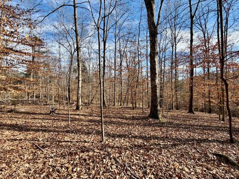 Tiny photo for 0 Salem Road, Schuyler, VA 22969 (MLS # 364167)