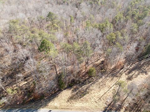 Tiny photo for 0 Salem Road, Schuyler, VA 22969 (MLS # 364167)