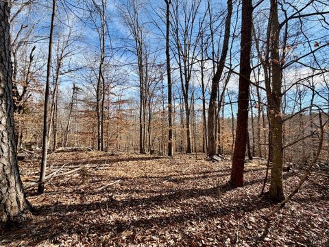 Tiny photo for 0 Salem Road, Schuyler, VA 22969 (MLS # 364167)