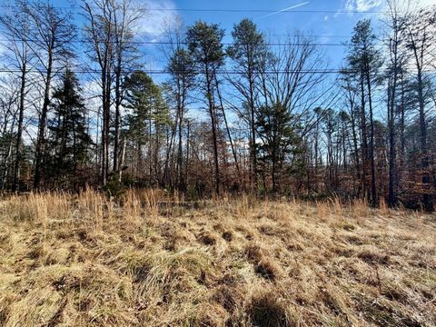Tiny photo for 0 Salem Road, Schuyler, VA 22969 (MLS # 364167)