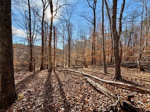 Tiny photo for 0 Salem Road, Schuyler, VA 22969 (MLS # 364167)