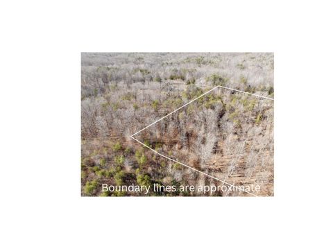 Tiny photo for 0 Salem Road, Schuyler, VA 22969 (MLS # 364167)