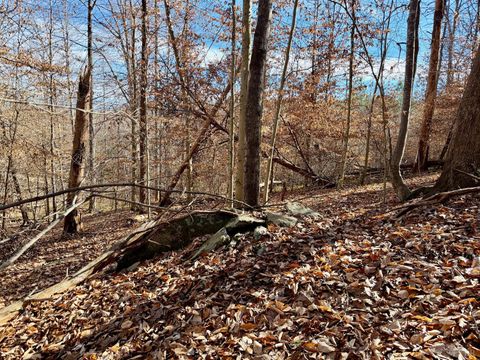 Tiny photo for 0 Salem Road, Schuyler, VA 22969 (MLS # 364167)