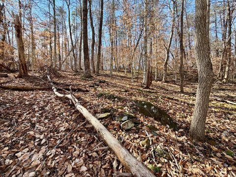 Tiny photo for 0 Salem Road, Schuyler, VA 22969 (MLS # 364167)