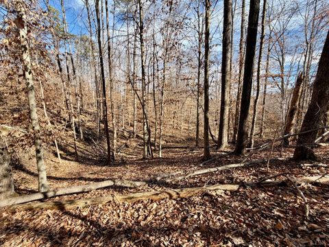 Tiny photo for 0 Salem Road, Schuyler, VA 22969 (MLS # 364167)