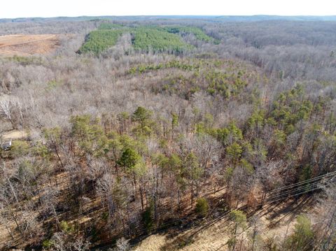 Tiny photo for 0 Salem Road, Schuyler, VA 22969 (MLS # 364167)