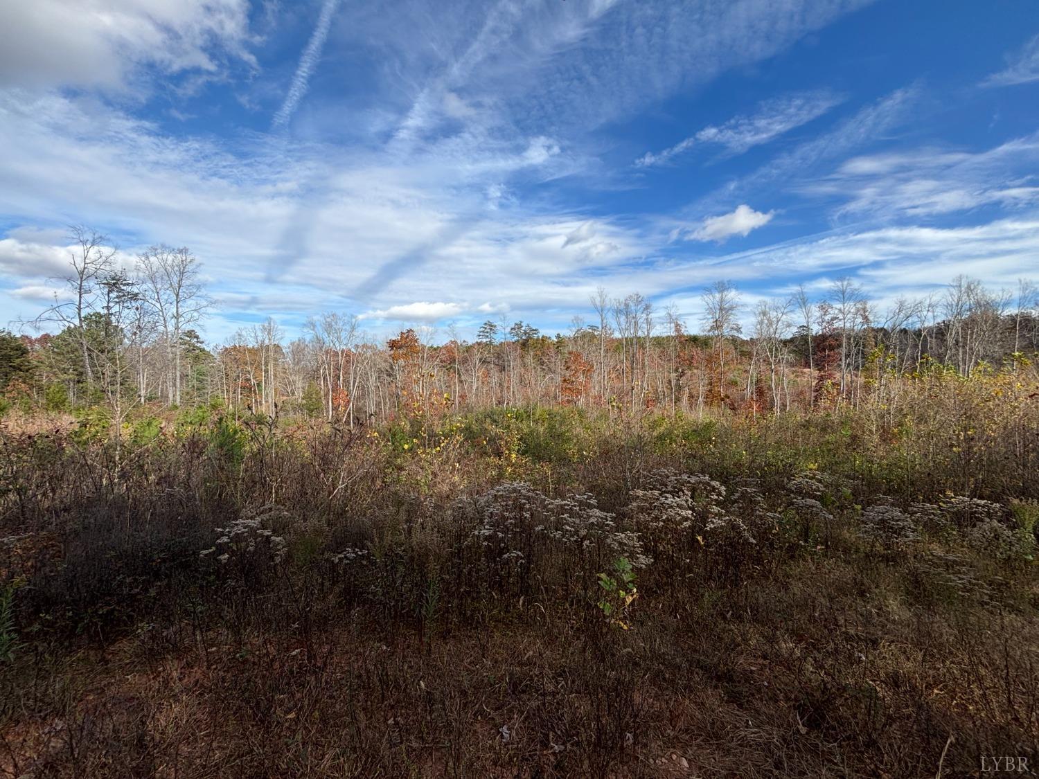 Colemans Mill Road, Gladstone, Virginia image 1