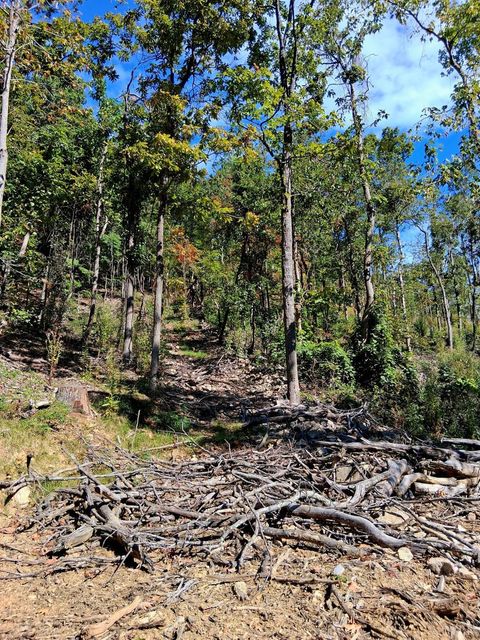 Tiny photo for 0 Mount Horeb Road, Amherst, VA 24521 (MLS # 362793)