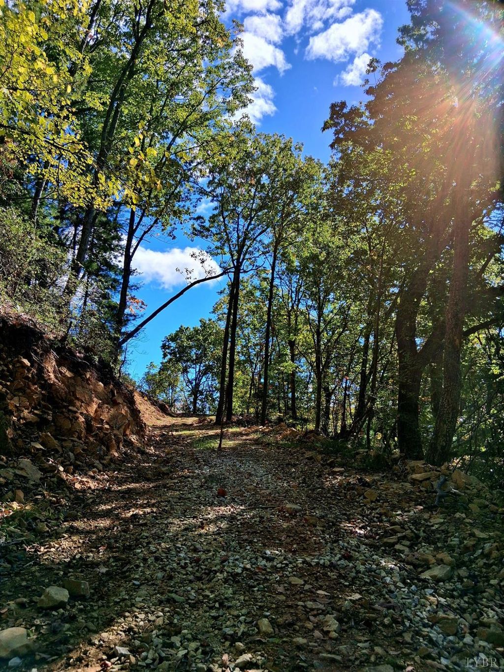 Photo for 0 Mount Horeb Road, Amherst, VA 24521 (MLS # 362793)