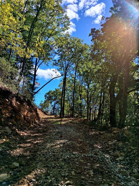 Photo of 0 Mount Horeb Road, Amherst, VA 24521 (MLS # 362793) Photo of 0 Mount Horeb Road, Amherst, VA 24521 (MLS # 362793)