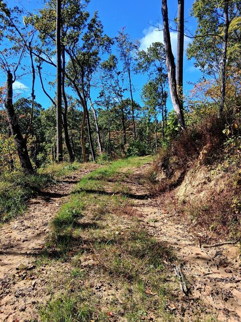 Tiny photo for 0 Mount Horeb Road, Amherst, VA 24521 (MLS # 362793)