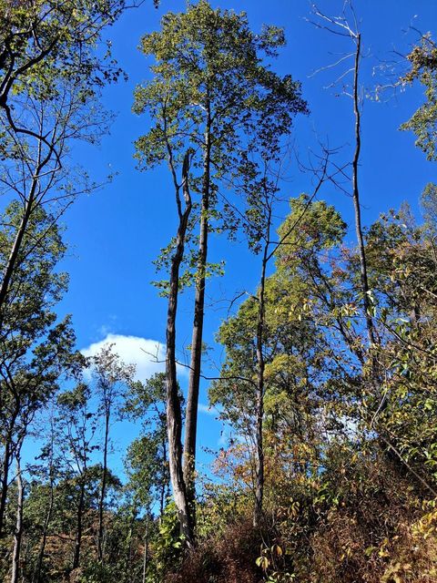 Tiny photo for 0 Mount Horeb Road, Amherst, VA 24521 (MLS # 362793)