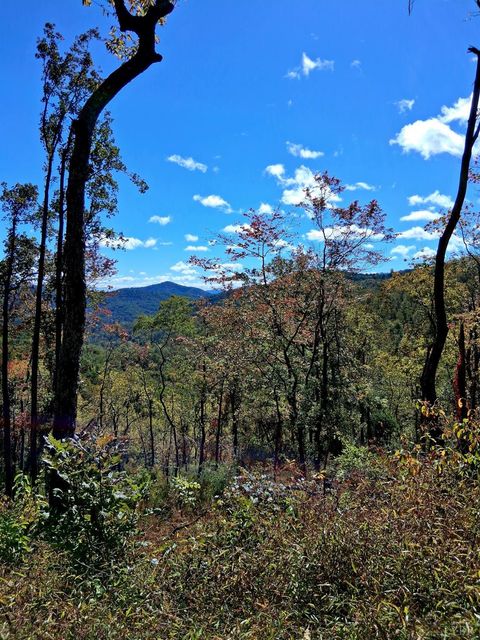 Tiny photo for 0 Mount Horeb Road, Amherst, VA 24521 (MLS # 362793)