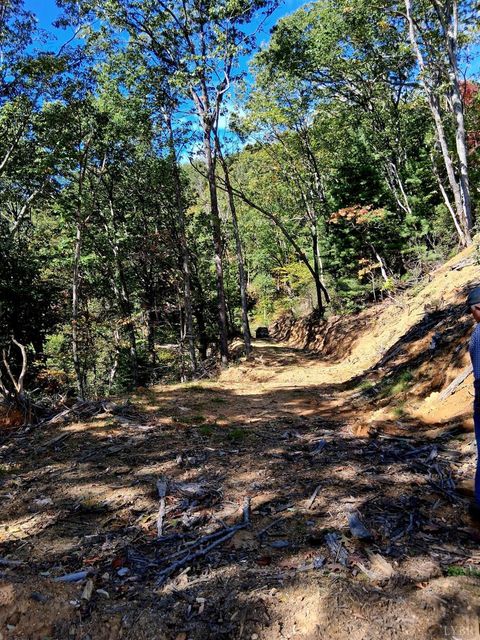 Tiny photo for 0 Mount Horeb Road, Amherst, VA 24521 (MLS # 362793)