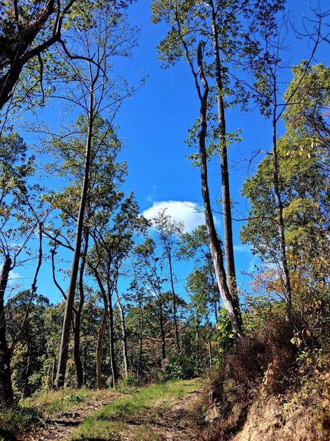 Tiny photo for 0 Mount Horeb Road, Amherst, VA 24521 (MLS # 362793)