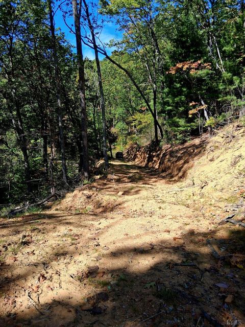 Tiny photo for 0 Mount Horeb Road, Amherst, VA 24521 (MLS # 362793)